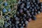 Berries of Juniper, Juniperus communis