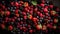 Berries overhead closeup colorful large assorted mix of strawbwerry, blueberry, raspberry, blackberry, red curant on dark