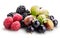 Berries (raspberry, blackcurrant, blackberry, gooseberry) isolat