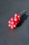 Berries of schizandra laying on black background