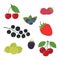 Berries Set Vector Illustration. Strawberry, Blackberry, Blueberry, Cherry, Raspberry, Black currant, Gooseberry