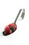 Berries in a spoon