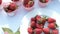 Berries of strawberries on white plate on table indoors.