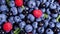 Berries, Various colorful background, Juicy Ripe Summer berries. Mint leaves, Raspberry, Blueberry close-up, Bio Fruits