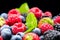Berries. Various colorful berries background. Strawberry, raspberry, blackberry, blueberry closeup over black