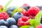 Berries. Various colorful berries background. Strawberry, raspberry, blackberry, blueberry closeup over white