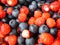 Berry background