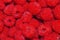 Berry background-texture. Ripe red raspberry Latin: Rubus idaeus closeup