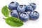 Berry blueberry with leaf mint large Fruity