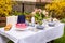 Berry cake and decorated dinner table in garden