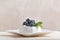 Berry dessert on saucer on light background. Meringue with fresh blueberries