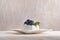 Berry dessert on saucer on light background. Meringue with fresh blueberries