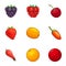 Berry field icons set, cartoon style