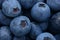 Berry fruit large blueberries ripe fresh dark blue temptation  before a delicious food