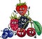 Berry fruits group cartoon illustration