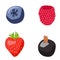 berry icons, strawberry blueberry raspberry currant