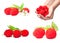 Berry images set