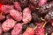 Berry mulberry trees as a backdrop. macro