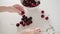 Berry processing. Lady hands take red cherry from white bowl remove green stalk and young woman eats over large table with berries