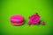 Berry spring color macaroon food background