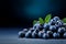 Berrylicious backdrop Copy space set against a blueberry organic fruit