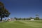 Bert Sutcliffe Oval, cricket Ground