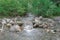 Bertha Creek in Turnagain Pass