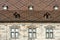 BESANCONS, FRANCE/EUROPE - SEPTEMBER 13 : View of the roof of Gr