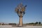 Beslan, Tree of sorrow