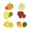 Best Delicious Fruit Vector Avatar Art