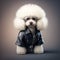 Best fried for kids, funny and cute poodle in a leather jacket!