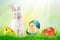 Best friends bunny rabbit and chick with easter eggs