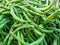 Best green beans vegetables image india