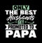 only the best husbands get promoted to papa  husband lover  papa gift design  best papa ever