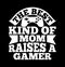 the best kind of mom raises a gamer, gaming mother playing game t shirt graphic