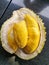 Best king of fruit musang king from malaysia