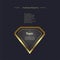 The best Luxury Options Infographic design template with dark background for finance and business elements, vector and