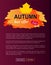 Best Offer Autumn Sale -35 Advert Promo Poster