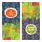 Best organic food vertical flyers set