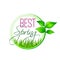 Best Spring green leaf and grass vector icon