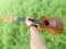 The Best Stock Image of Ukulele Instrument with natural environment, A hand of music. Nature Sounds-Nature Music - nature lovers