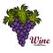 Best wine grapes fruit
