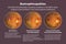 Bestrophinopathies, inherited retinal disorders caused by mutations in the BEST1 gene, 3D illustration