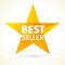 Bestseller awards star logo.