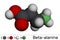 Beta-alanine or Î²-Alanine molecule. It is naturally occurring beta amino acid. Molecular model. 3D rendering