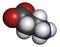 Beta-alanine molecule. Naturally occurring beta amino acid. Precursor of carnosine. Athletes often use beta-alanine supplements.