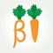 Beta-Carotene (provitamin A) healthy carrot