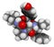 Beta-casomorphin peptide 7 molecule. Breakdown product of casein that may play a role in human diseases. 3D rendering. Atoms are