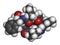 Beta-casomorphin peptide 7 molecule. Breakdown product of casein that may play a role in human diseases. 3D rendering. Atoms are