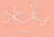 Betaine glycine betaine, trimethylglycine molecule. Originally found in sugar beet Beta vulgaris. Skeletal formula.